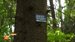 «Дорога в Лавру» должна стать комфортной