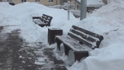 Представители власти проинспектировали ход благоустройства дворов в Пересвете