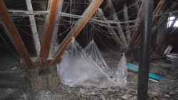 «Специальный репортаж». Весенняя оттепель проверяет кровли на прочность