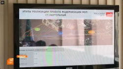 Терминальные потребности