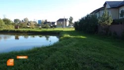 Встреча в деревне Наугольное