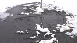 Несанкционированный слив канализации будет пресечён?