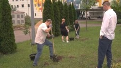 Экологическая акция