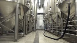 Успешные кейсы местного предпринимательства отметили в бизнес-туре