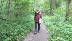 Представители власти оценили состояние паломнической тропы «Дорога в Лавру»