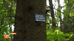 «Дорога в Лавру» должна стать комфортной