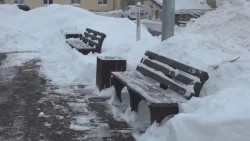 Представители власти проинспектировали ход благоустройства дворов в Пересвете
