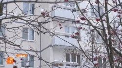 Тепло ли в "тысячнике"?