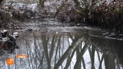 Безымянный ручей преобразился