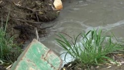 «Специальный репортаж». Экологическое благополучие зависит от нас