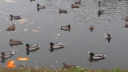 Прогноз погоды
