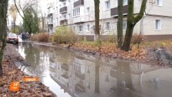 Новая управляющая решает проблемы