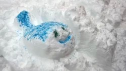 Зимний шедевр