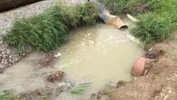 Продолжаются работы по расчистке Копнинки