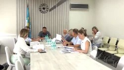 «Специальный репортаж». Работа Экспертного и депутатского Советов
