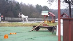 Долой незаконные объекты