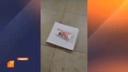 Осторожно ― взрывчатка!