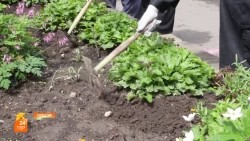 Каникулы с пользой