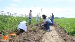 «Сад Памяти» в честь героев Отечества