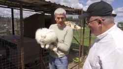 Супруги Воробьёвы и их фермерское хозяйство