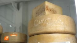 Сырное дело процветает