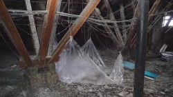 «Специальный репортаж». Весенняя оттепель проверяет кровли на прочность