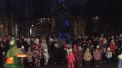 Ёлочка, гори!