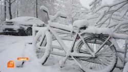 Последствия снегопада