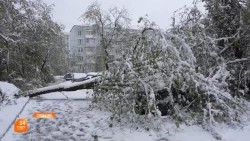 Ликвидация последствий непогоды