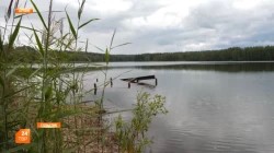 Абсолютная победа