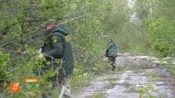 Помощь дойдёт до каждого
