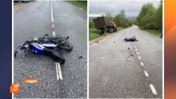 Повысить бдительность на дорогах