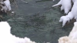 В Тураково устраняют последствия аварии на сетях централизованного водоотведения