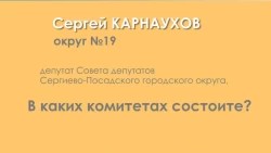 Сергей Карнаухов – о работе в комитетах