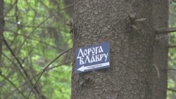«Специальный репортаж». Путь к святыням