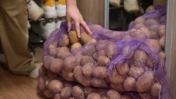 Волонтёры Сергиево-Посадского округа получили три тонны картофеля для приготовления домашней еды бойцам СВО