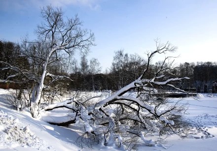 Келарский пруд. Январь