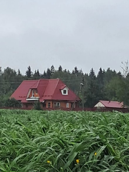 На приволье