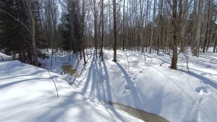 Веет весной