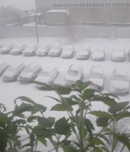 Вот это, да!