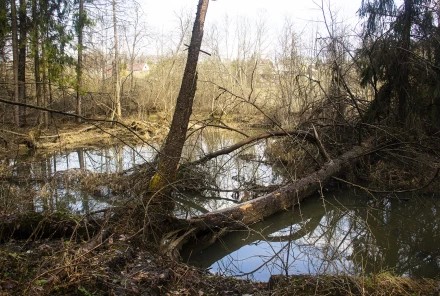 После половодья