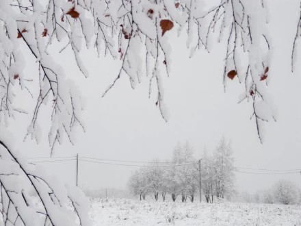 ноябрь 2025, первый снег