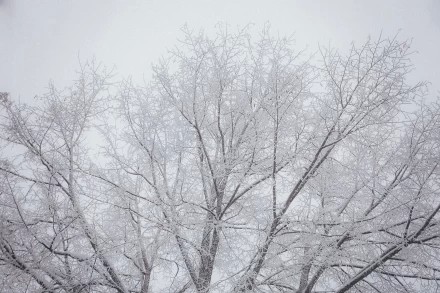 январь 2026, морозно