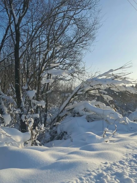 Снежный январь 2026года