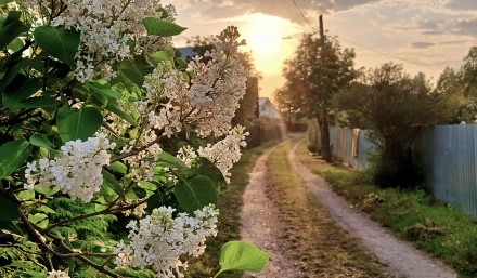 Совсем скоро!