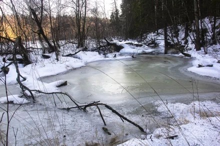 Январское половодье 2