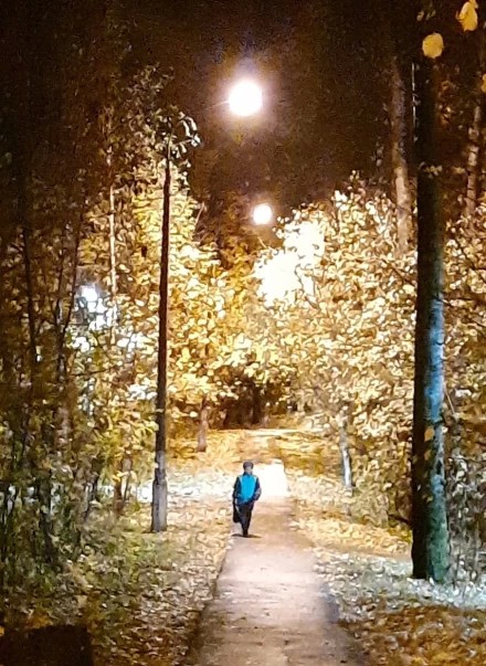 Лесная дорога с улицы Королева на ул. Комсомольская в Пересвете