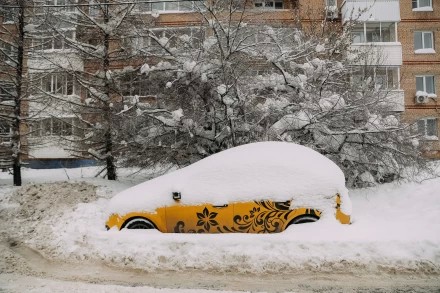 январь 2026, во дворах