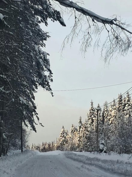 Зимняя жорога