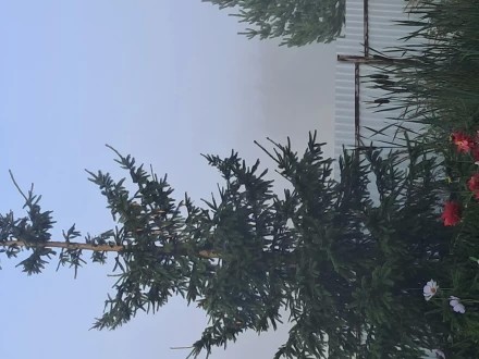 Видимость с крыльца